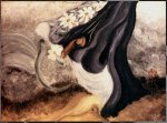 Sacudiendo mis bolsillos - �leo